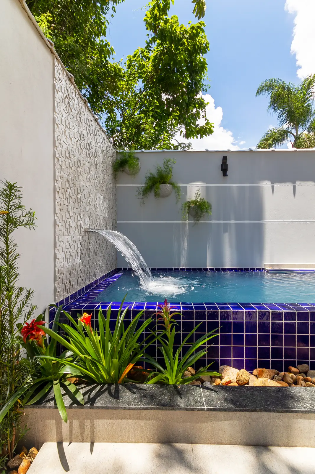 Cascata da piscina e paisagismo com bromélias