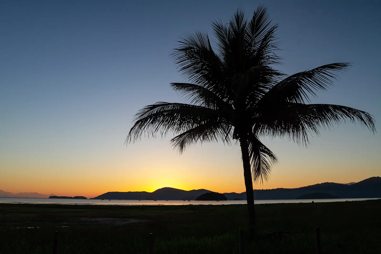 Pôr do sol com coqueiro na orla de Paraty